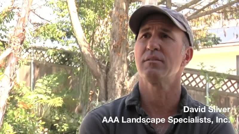 Video, Contractor Testimonial of EZflow - a French Drain Alternative