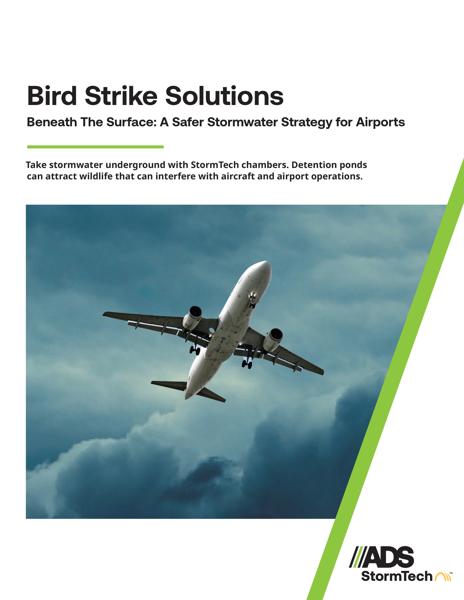 Bird Strike Solutions