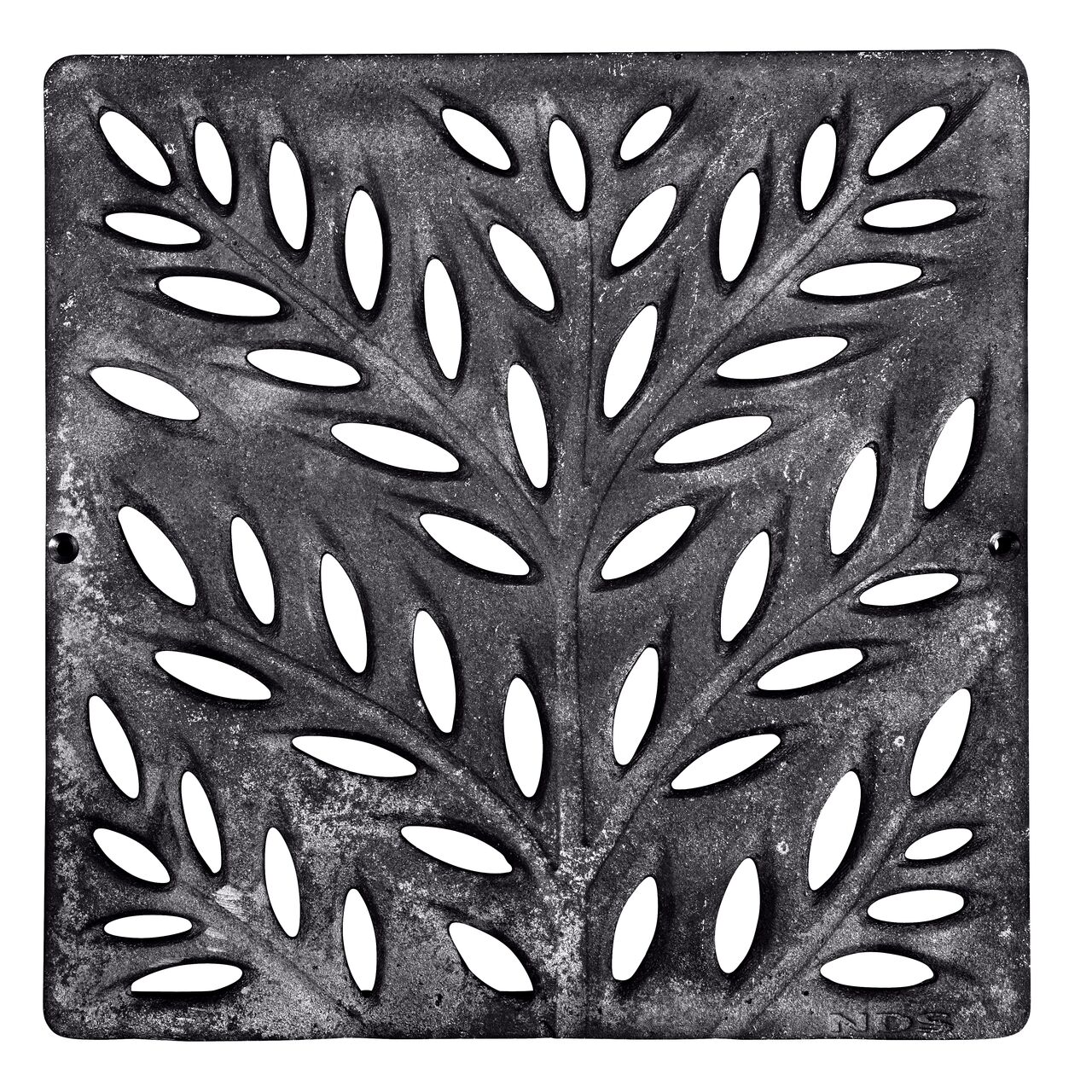 Top down view of the NDS 12 in. cast iron square catch basin grate in a decorative botanical design (NDS 1218CI)