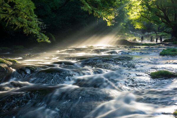 stream with whitewater