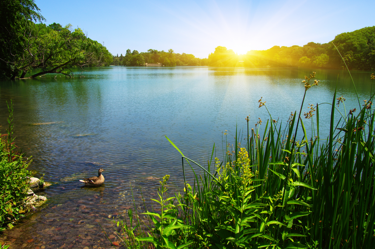 lake at sunrise