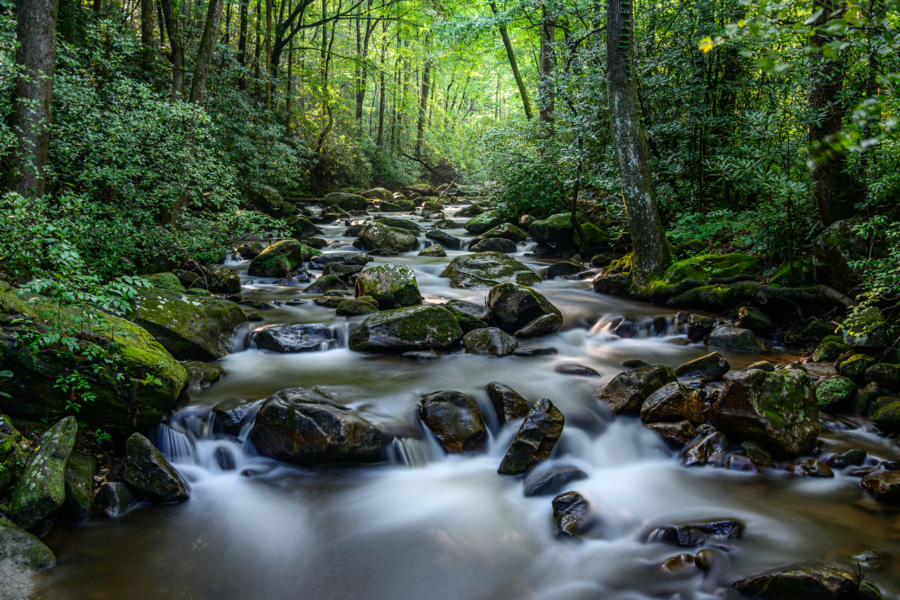 Water flowing in creek scene