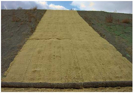 Geosynthetic Erosion Control Products