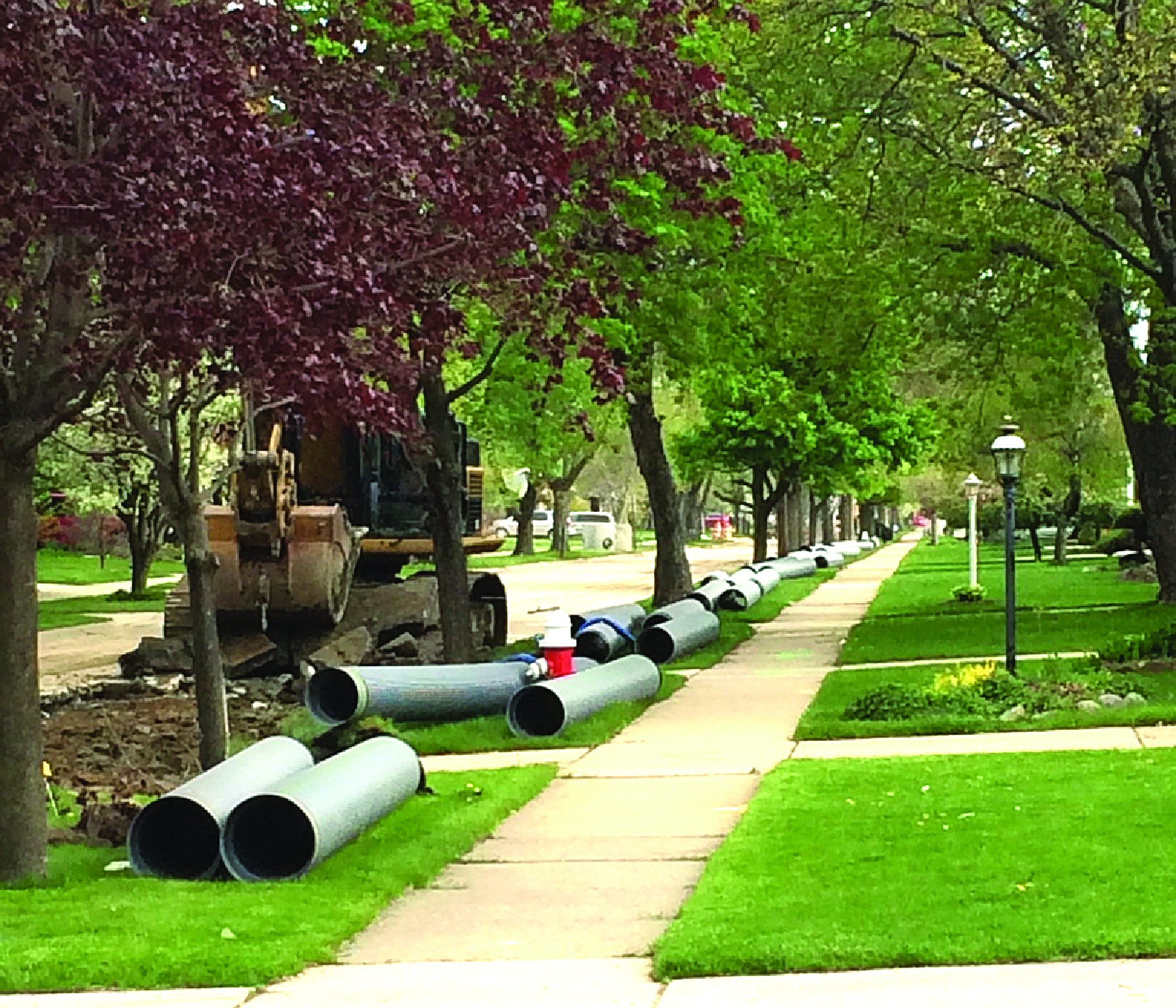 Southgate MI Plum Avenue 1
