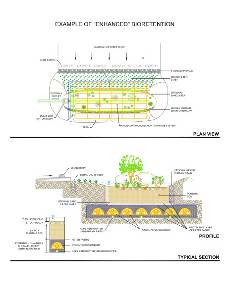 Rain Gardens + Bioretention StormTech Detail