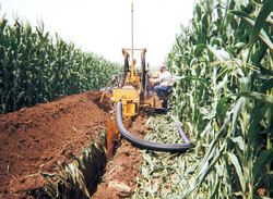 Singlewall Installed in Standing Corn Field