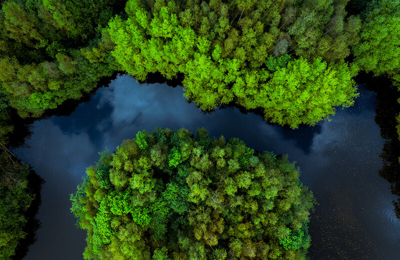 Sustainability Water Running Through Trees