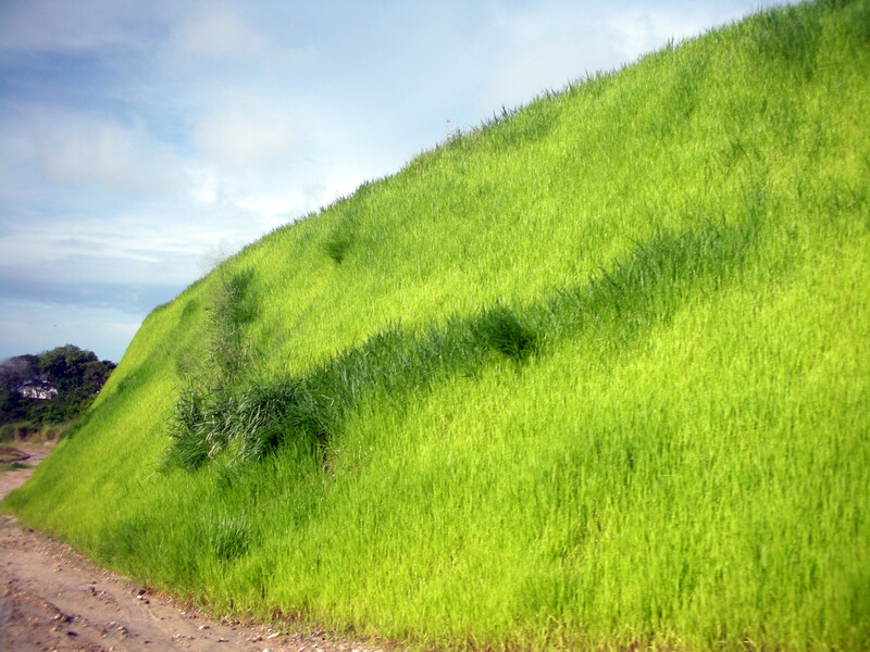 Geocell Slope Erosion Control After geocell use