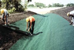 Turf Reinforcement Mat
