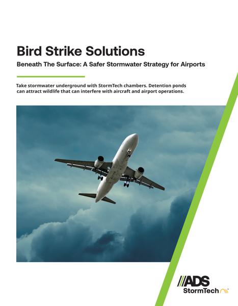 Bird Strike Brochure 