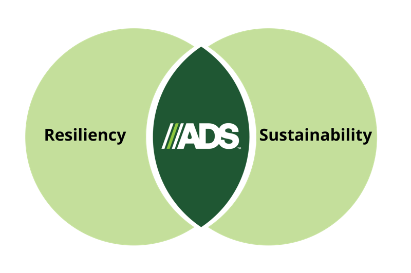 Sustainability Resiliency Graphic